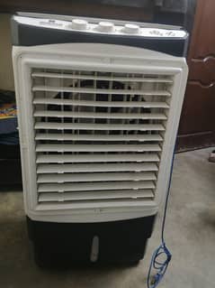 sale sale on cl 03204491995