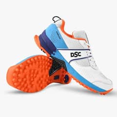 Dsc