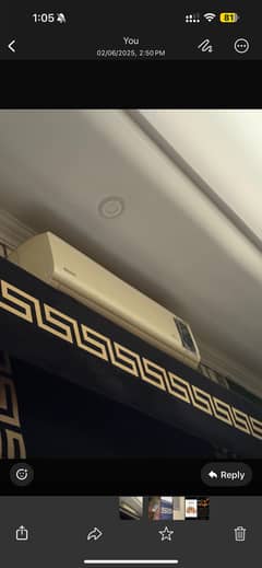 orient