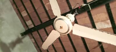 Time star fan number 03477346831
