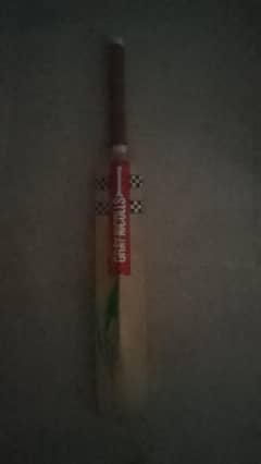 Gray Nicholis Bat