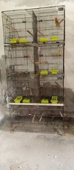 different cages like this available for sale