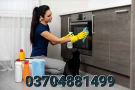 maid , cleaner.  cook