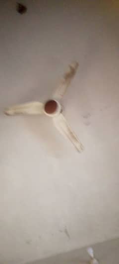 1 fane