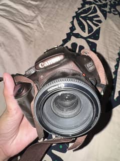 1100 d canon brown color
