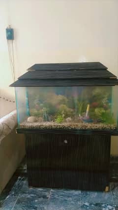 aquarium