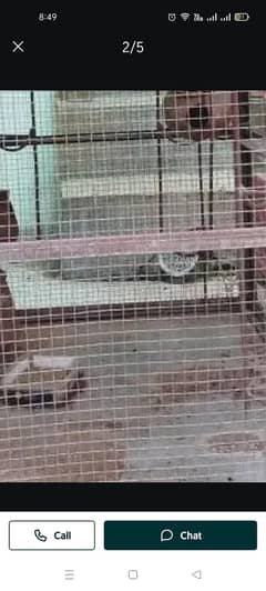 goat cage