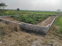 12 Marla Commercial Plot Is Available