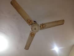 my Seiling fans 4 prices 03067836556