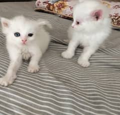 two