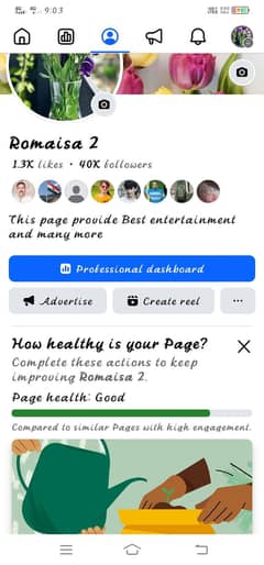 Facebook Page