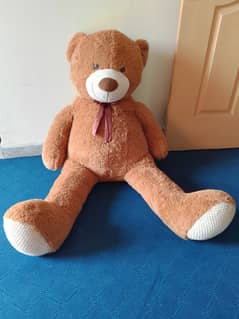 Teddy