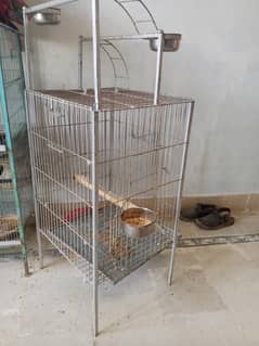 raw Alexander paroot cage