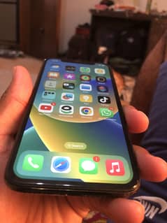 iPhone X