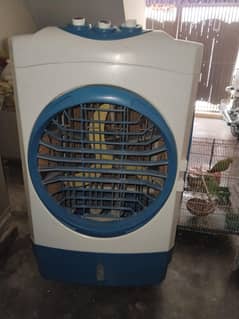 Dc cooler best for battery and solar