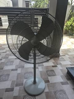 Fan for sale