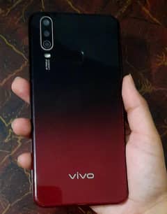 Vivo