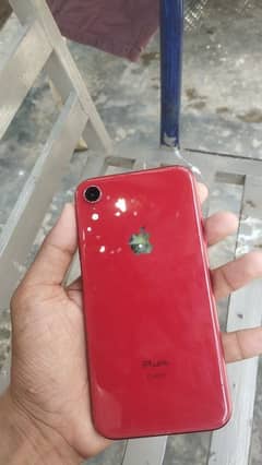 iPhone XR | 128 GB