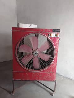 Air color for sale