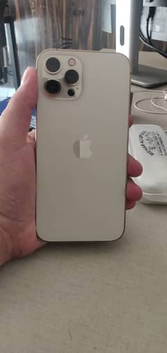 Apple iPhone 12 Pro Max