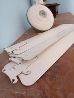 ceiling fan