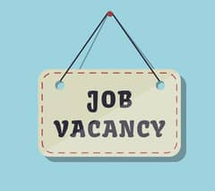 Hiring Female's Staff - Data Entry Operator's