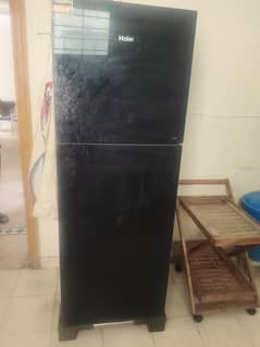 Haier new glass door refrigerator