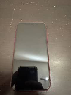iPhone XR PTA approved