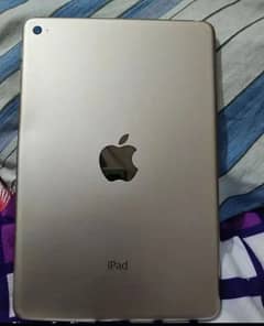 iPad mini 4