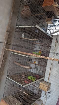 4 portion cage 2.5/1.5