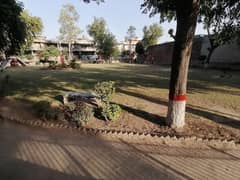 Idyllic Residential Plot Available In Marghzar Officers Colony For sale