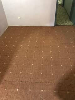 Carpet