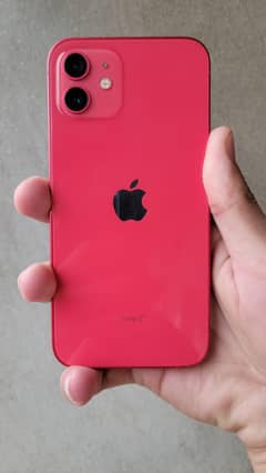 iphone 12 factory