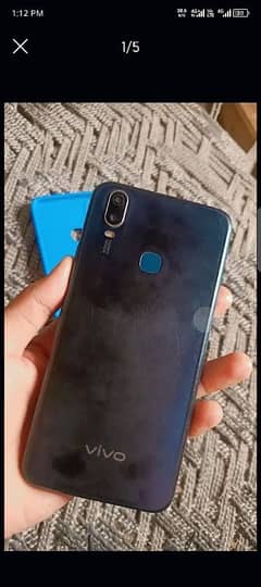 vivo
