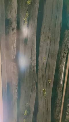 New