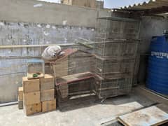 Cages,