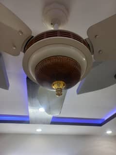 Open