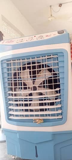 pak diamonds air cooler