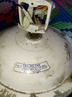 ceiling fan 56 size 1400 mm