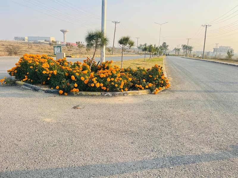 FOECHS Block C Plot 60x90 8