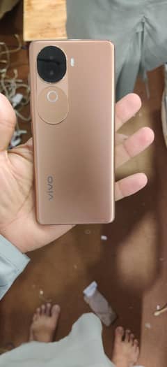 vivo