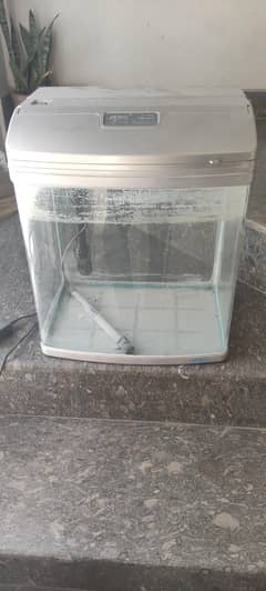 aquarium
