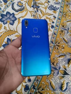 vivo
