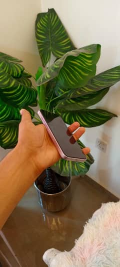 iphone 14 mini