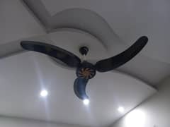 black ceiling fan