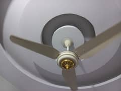 ceiling fan