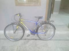 scycle