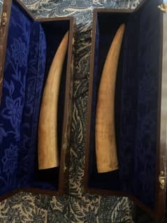Pair