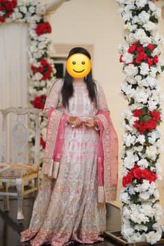 Sifa Brand Maxi For Sale