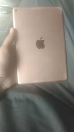 ipad mini 5